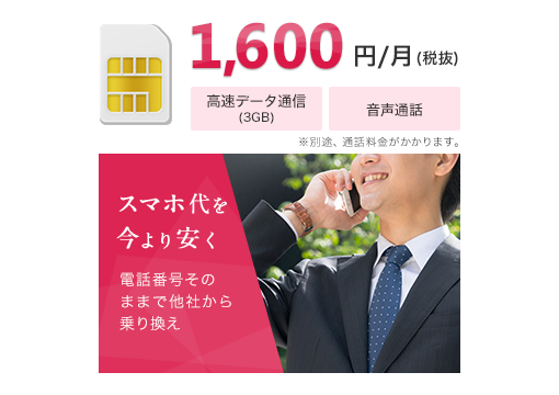 1,600円/月（税抜）
