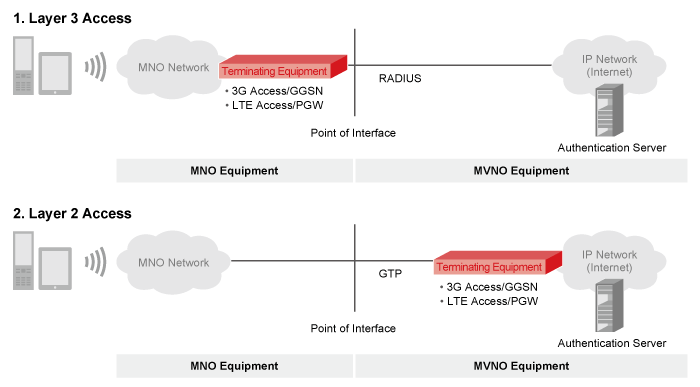 Layer 3 Access and Layer 2 Access
