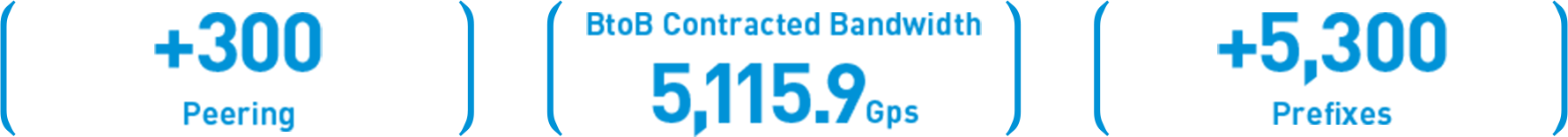 +300 Peering, BtoB Contracted Bandwidth 5,115.9Gps, +5,300 Prefixes