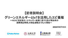  「グリーンエネルギーとIoTを活用したエビ養殖」に関するメディア向け説明会