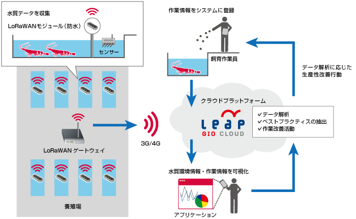 エビ養殖場 IoTシステム<br/ >全体イメージ