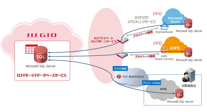 IIJマネージドデータベースサービス<br />Microsoft SQL Server 2017