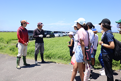 圃場見学の様子2