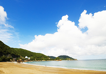 写真：美波町・大浜海岸