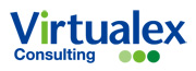 バーチャレクス・コンサルティング株式会社